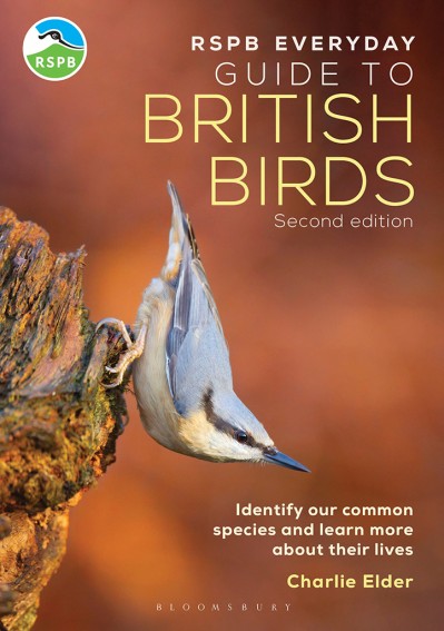 The RSPB Everyday Guide to British Birds: Identify our common species and learn mo... Eaa1b4c694a1706ac6682fa7978480eb