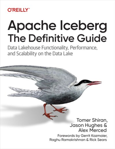 Apache Iceberg: The Definitive Guide: Data Lakehouse Functionality, Performance, a... F2941f31986e7f3d5cae310bd86f66eb