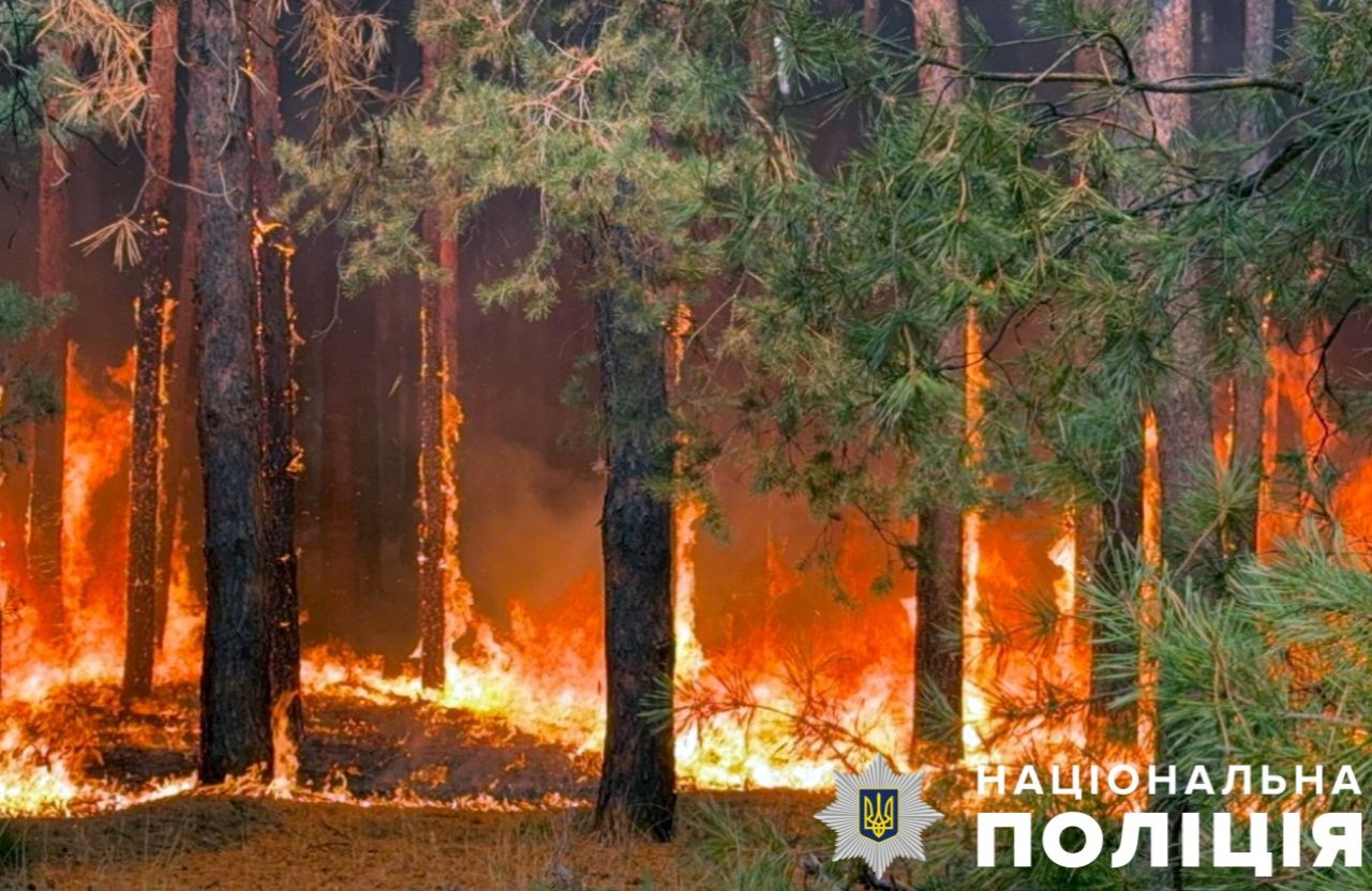 Вісті з Полтави - Сквозь лісову пожежу у Новосанжарській громаді продовжили евакуацію людей: вогонь поширився до річки Ворскла