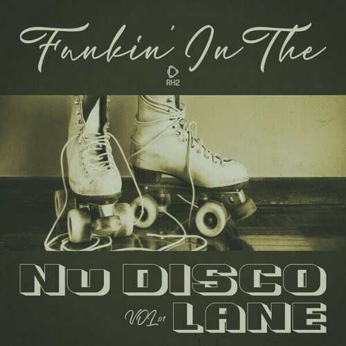 Funkin in the Nu Disco Lane Vol 01 (2024) FLAC