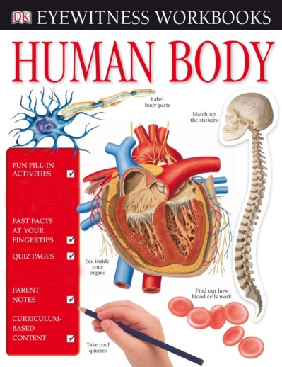 Eyewitness Workbooks Human Body - DK 14735e058e472670174a09efa35dfd29