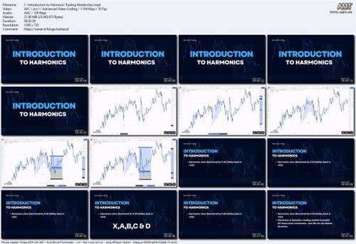 Technical Analysis: Crypto Harmonic Patterns - Latest  2024