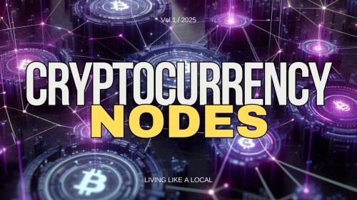 Master Cryptocurrency Nodes Running A Blockchain Node 101