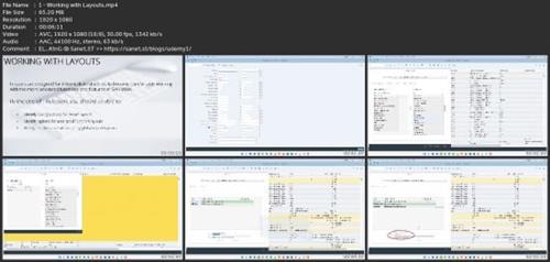 Sap S/4 Hana Foundations - Intermediate Reporting  Skills