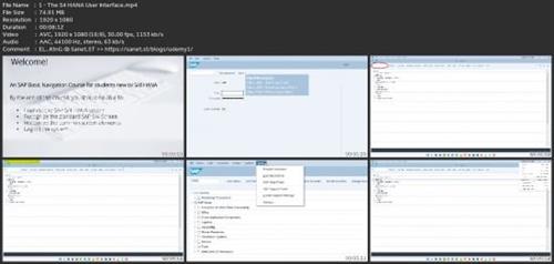 Sap S/4Hana Foundations - Basic  Navigation