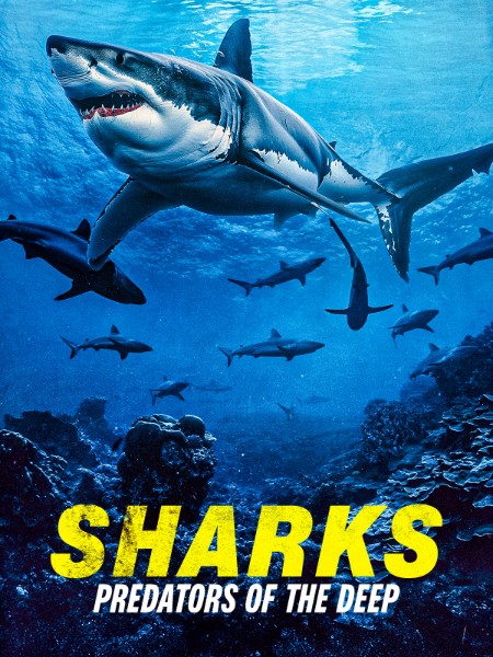 Sharks Predators Of The Deep (2024) 1080p WEBRip x264 AAC-YTS