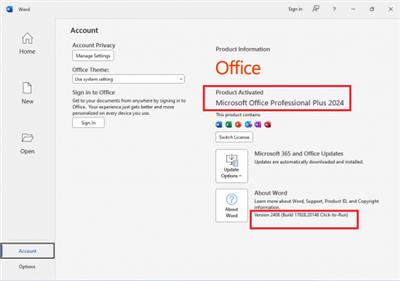 Microsoft Office Professional Plus 2024 VL 2408 Build 17928.20148 (x86/x64)  Final