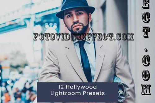 12 Hollywood Lightroom Presets - PDPE96E