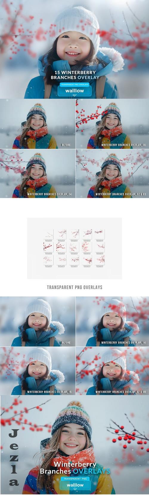 Winter berry branches PNG overlays - 283771671