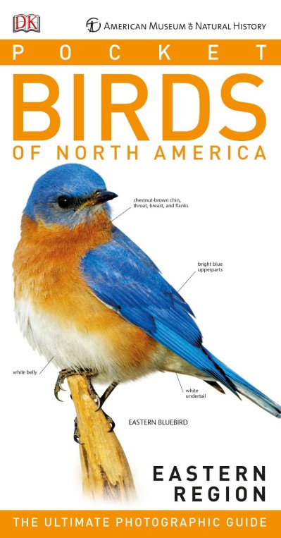 AMNH Pocket Birds of North America Eastern Region - DK 76b985653484768fe9a94b6df2861a36