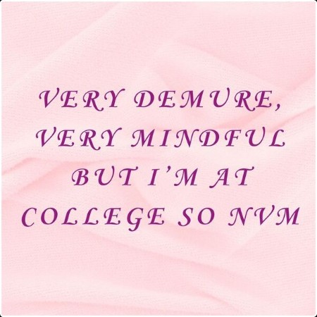 Various Artists - very demure very mindful but i'm at college so nvm (2024) Mp3 320kbps