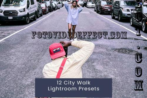 12 City Walk Lightroom Presets - 38V3PCH