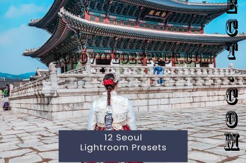 12 Seoul Lightroom Presets - HSGUSJB