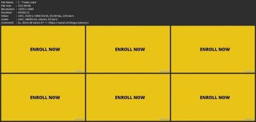 Notion For Financial Management - The Ultimate  Course