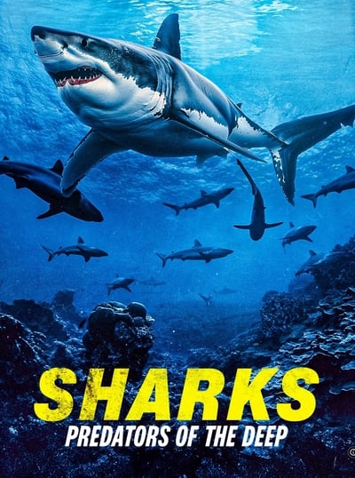 Sharks Predators Of The Deep (2024) 1080p WEBRip-LAMA 8c1334fdbaff0a57e71cb12ab6eaf0c0