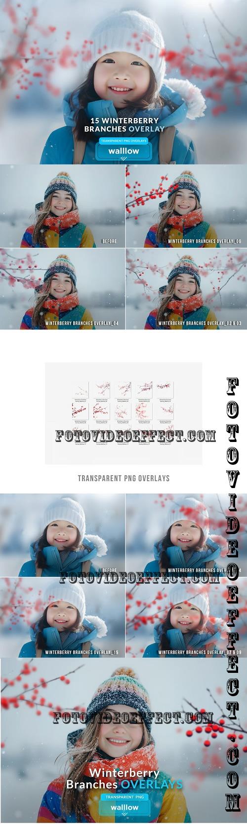 Winter berry branches PNG overlays - 283771671