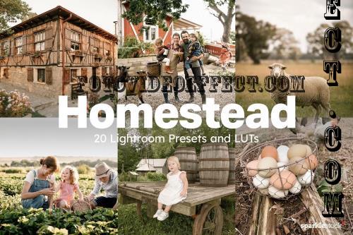 20 Homestead Lightroom Presets LUTs - 284340401