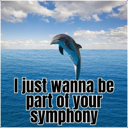 Various Artists - I just wanna be part of your symphony (2024) Mp3 320kbps  C18f838bdf7480c4c47ece29236d403e