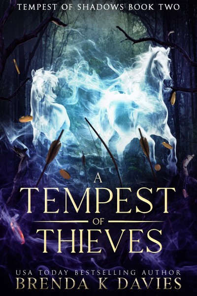 A Tempest of Thieves - Brenda K. Davies D618310b73413d43eb9ea74760ed1b81