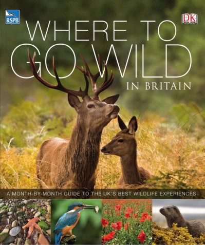 Where to Go When Great Britain and Ireland - DK 1645a9406f3cf14cf7e46ceaac5270a5