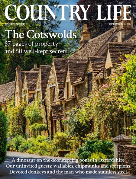 Country Life UK - September 18, 2024 6e4158c9429987aedfd1058e22345ed8