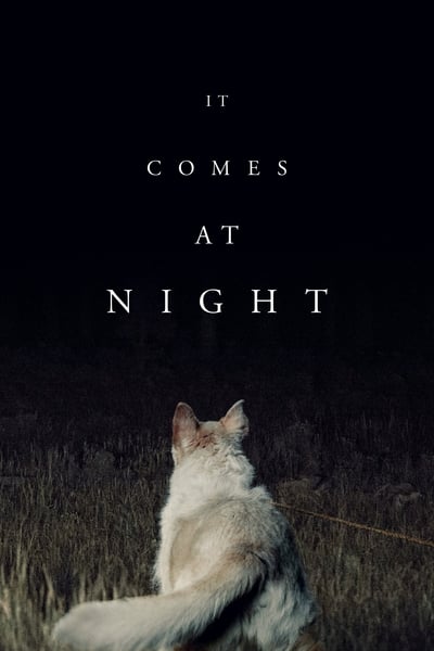 It Comes At Night (2017) 2160p 4K WEB 5 1-LAMA 531df18d543be3fe24eb3ca20172d3dc