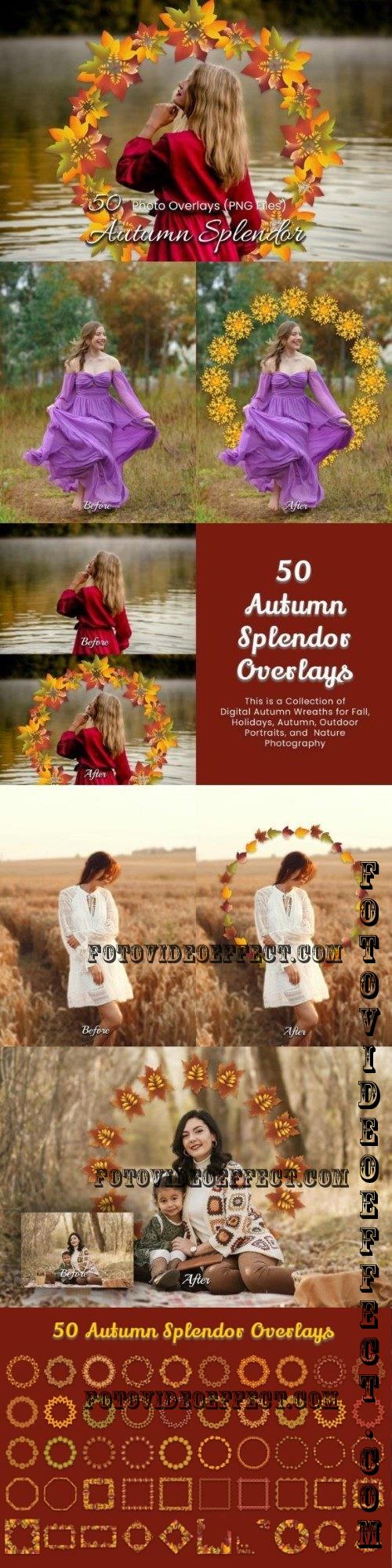 50 Autumn Splendor Overlays - 285062108