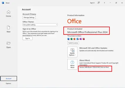 Microsoft Office Professional Plus 2024 VL 2408 Build 17928.20148 Final Multilingual (x86/x64) 6deafe564adf662b1971b6e15a748433