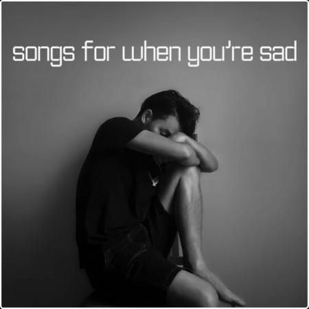 Various Artists - Songs For When You're Sad (2024) Mp3 320kbps  B4010b0a62a054bfe0b5f6b092ce3867