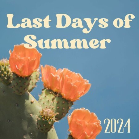 VA - Last Days of Summer - 2024 2024