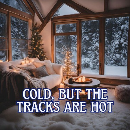 VA - cold, but the tracks are hot 2024