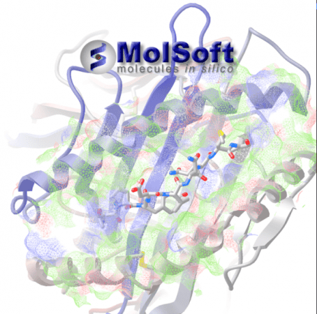 Molsoft ICM-Pro v3.9-4 (x64)