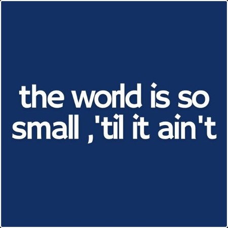 Various Artists - the world is so small 'til it ain't (2024) Mp3 320kbps  464db26ba671761b8199982894163ddd