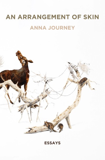 An Arrangement of Skin: Essays - Anna Journey Cf4b77672090ee0b5d5de2767e7f9be0