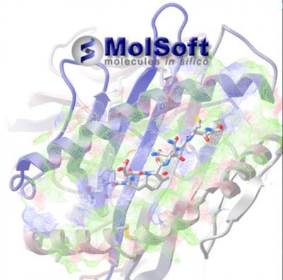 Molsoft ICM-Pro v3.9-4  (x64) D9ee18ef0aeece8897c8ce48636a8a88