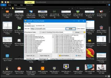 VovSoft Picture Downloader 3.0