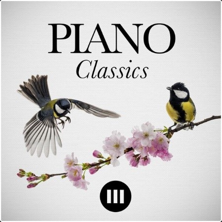 Various Artists - Piano Classics (2024) Mp3 320kbps  9fb1cdd13d0e53ef3df59126d88aec1d