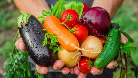 Vegetable Gardening 101 By Rob Littlepage