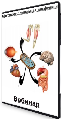 Митохондриальная дисфункция (Анна Читанава) (2024) Вебинар