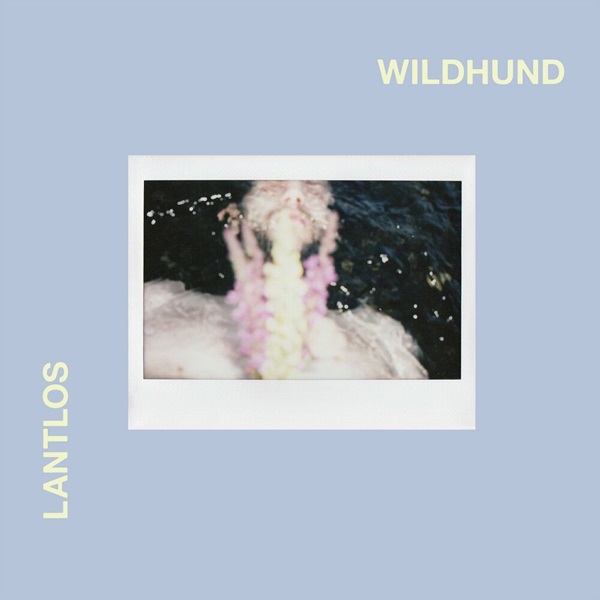 Lantlôs - Wildhund (2021)