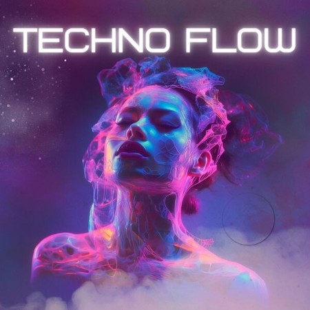 VA - Techno Flow 2024