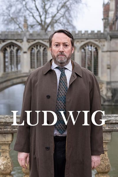 Ludwig S01E01 1080p HEVC x265-MeGusta
