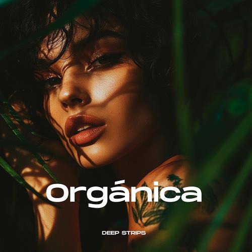 VA - Organica (2024) (MP3)