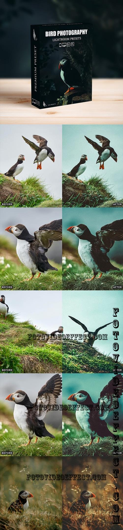 Bird Photography Wildlife Cinematic Lightroom Presets - 54076202