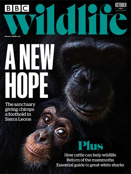 BBC Wildlife - October 2024