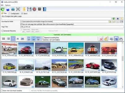 Bulk Image Downloader 6.51 Multilingual