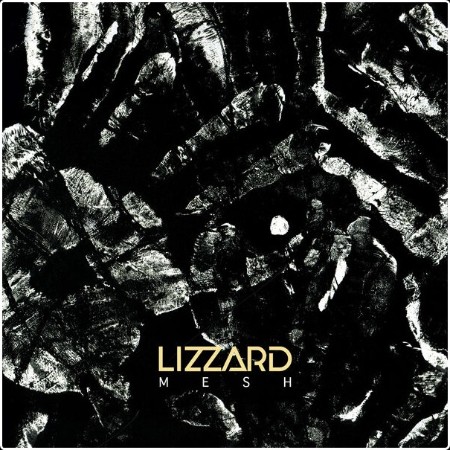 Lizzard - Mesh (2024) [24Bit-48kHz] FLAC