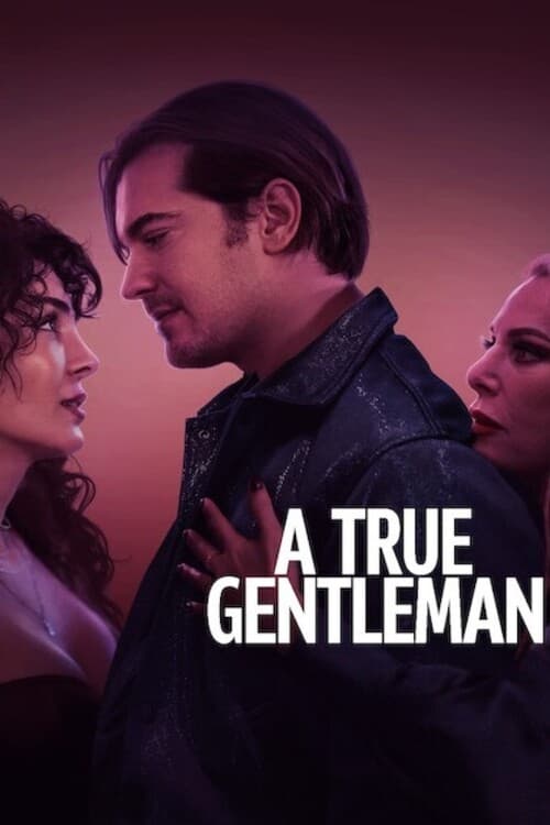 Prawdziwy dżentelmen / A True Gentleman / Tam Bir Centilmen (2024) PL.720p.WEB-DL.XviD.DD5.1-K83 / Lektor PL