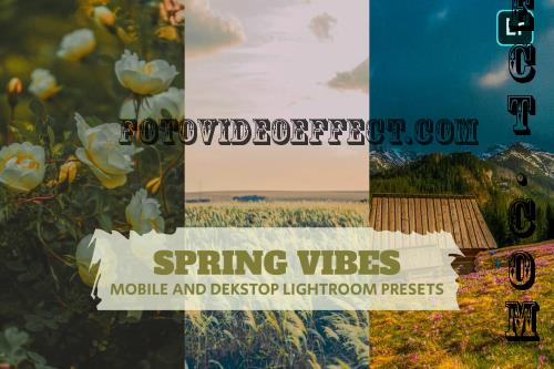 Spring Vibes Lightroom Presets Dekstop and Mobile - VNAE9YP