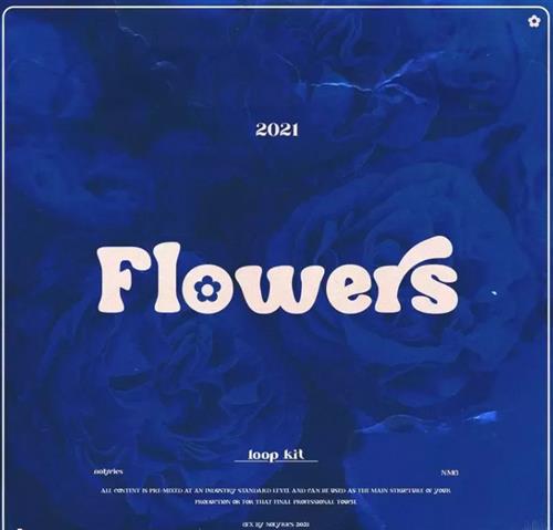 nolyrics FLOWERS MULTiFORMAT